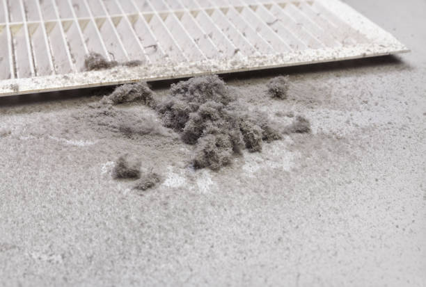 Best HVAC Air Duct Cleaning  in Milford, OH
