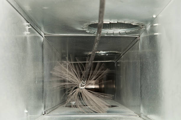 Best Air Duct Mold Removal  in Milford, OH