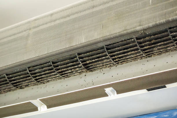 Best Best Air Duct Cleaning Company  in Milford, OH